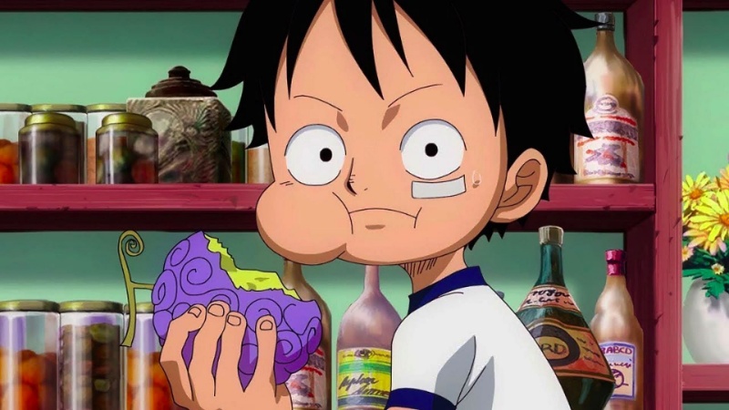 luffy and devil fruit